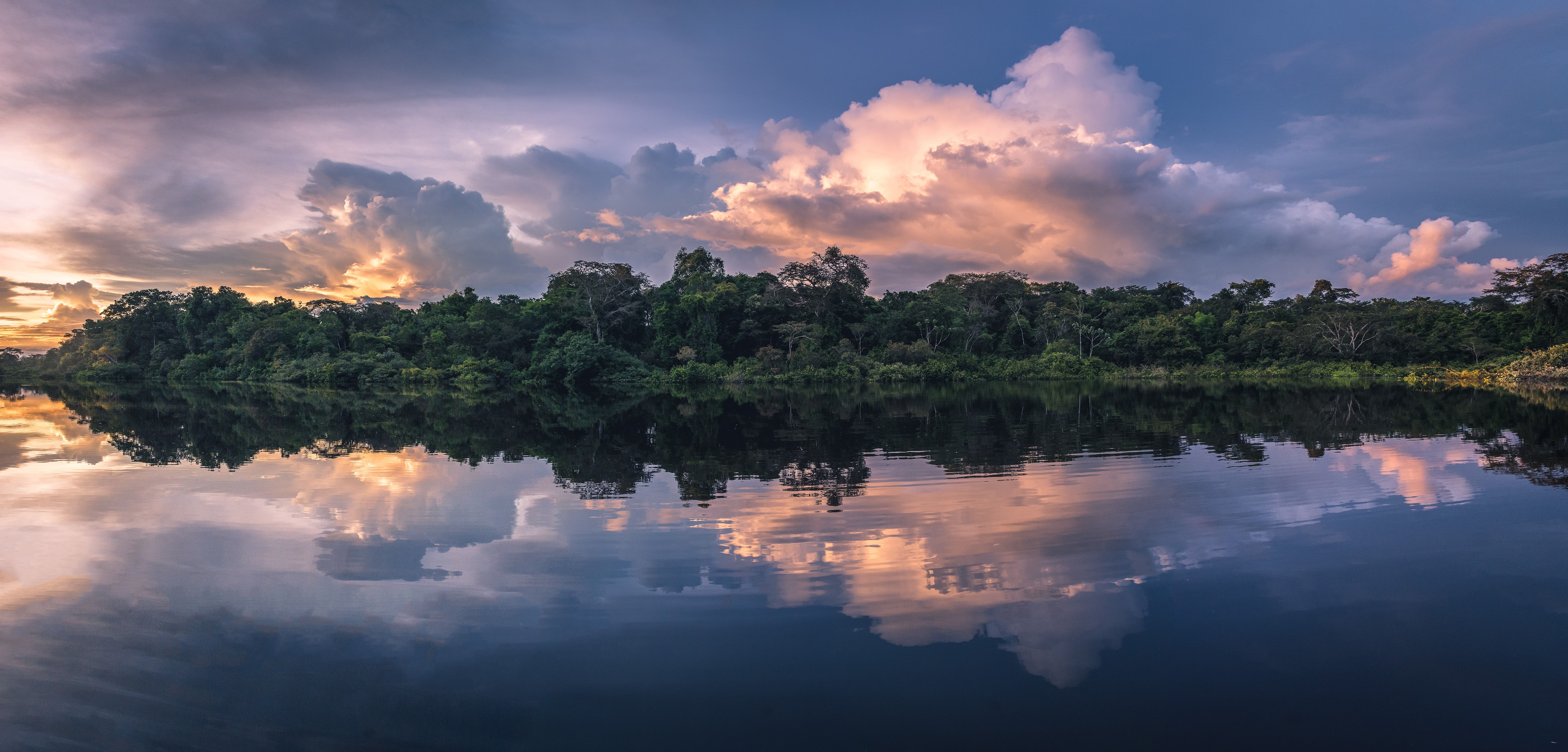 Photo from 4-Day Amazon Peru Rainforest Wildlife Experience safari tour
